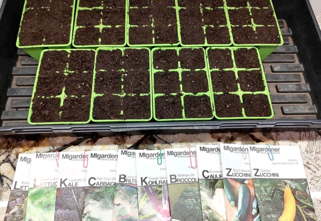 How to start plants from seed