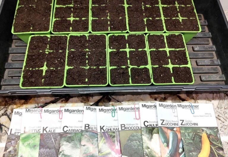 Select your seeds and fill the cells with seed starting mix