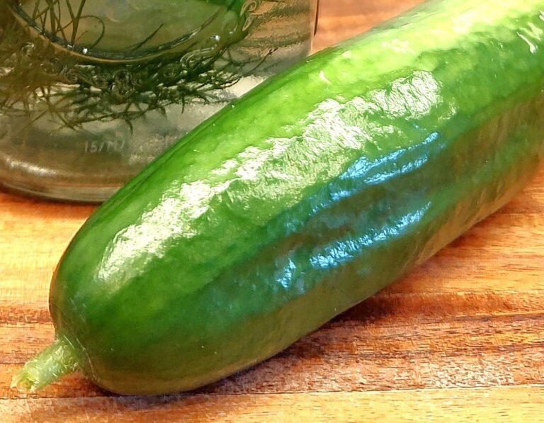 How to grow cucumbers