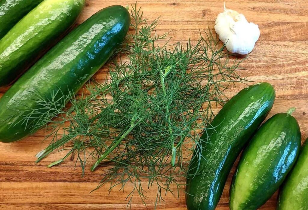 Refrigerator pickles